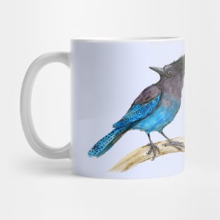 Steller's jay watercolor Mug